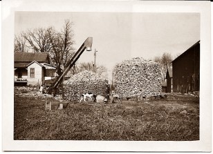Surplus corn from drained land