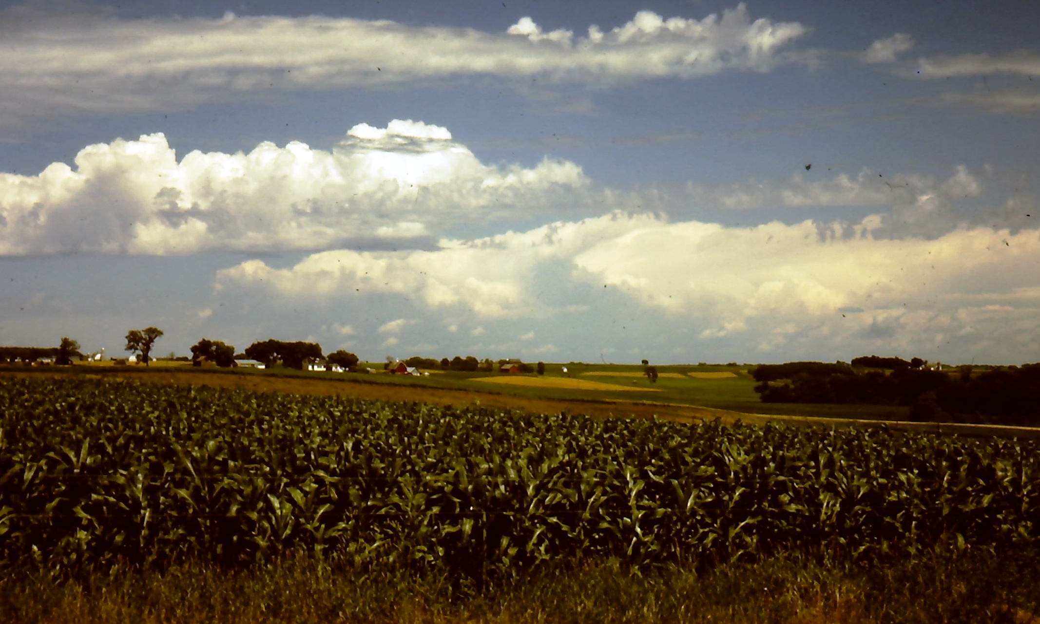 My beautiful picture